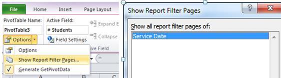 Create a separate page for each of the Years represented by the Service Date using the Show Report Filter Pages option off the