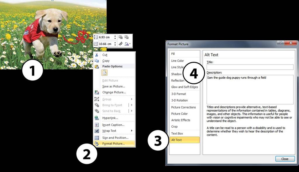 How to Add Alt Text to Images in Microsoft Word and Outlook 1.