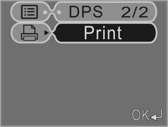 print Operation DPS(Direct Print Services)-continued Setting the