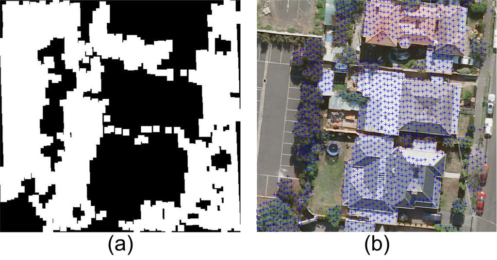 1 Figure 4: Image lines: (a) extracted and (b) classified (green: tree, red: ground, cyan: roof edge and blue: roof ridge ). Test Data Set 3.
