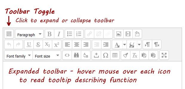 The editor toolbar includes the same basic functions as the toolbar in Microsoft Word or similar word processing software programs.