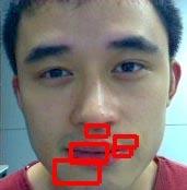 The top region of the face image is used for eye detection; the central region of the face area is used for nose detection; and mouth is searched in the lower region of the face.