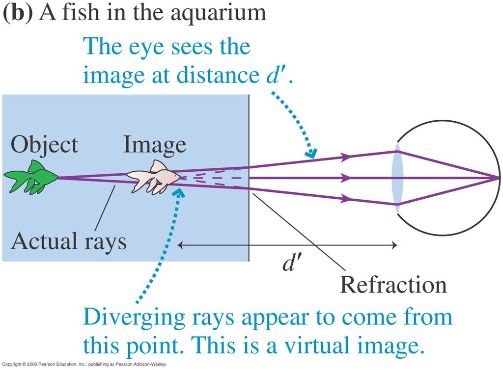 Image Formation by Refraction (23.4) Your brain determines how far away something is by how much the images in both eyes differ: parallax. However, your brain can be fooled!