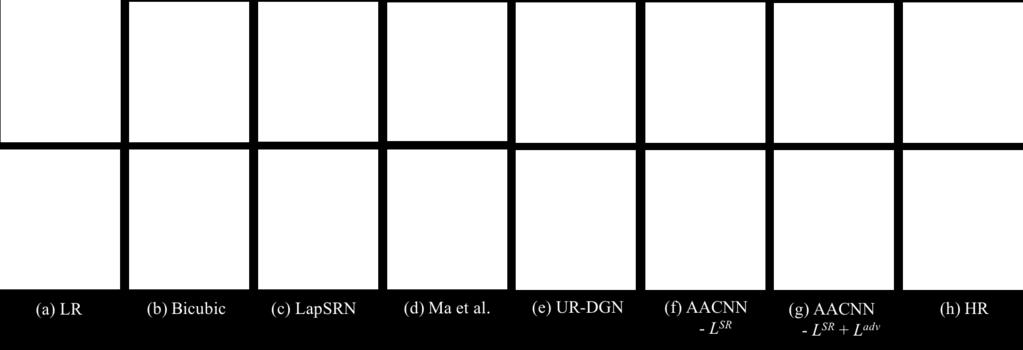 Figure 4. Comparison with the state-of-the-art methods on hallucination global test dataset. (a) Low-resolution inputs images. (b) Bicubic interpolation. (c) LapSRN [6]. (d) Ma et al. [10].