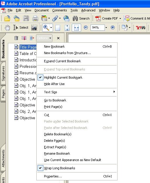 8 Figure 8 Options a. Each document in your portfolio was assigned a Bookmark by Acrobat using the file name. You may want to change the names to something more descriptive.