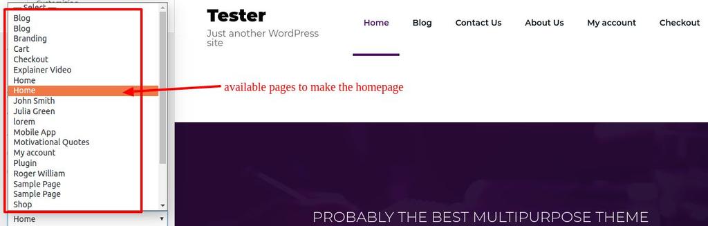 Homepage Setting: You can set homepage from