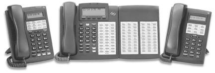 ESI Feature Phone User s Guide FOR WITH voice mail
