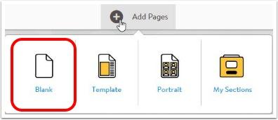 Add a Blank page If you want to work from a blank slate, hover over Add Pages and choose Blank. You can create multiple sections at once. Provide a title for the section (eg.