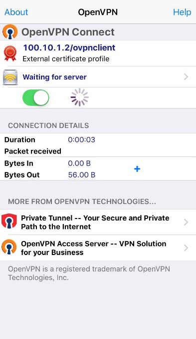 Then press + icon to add this VPN connection.