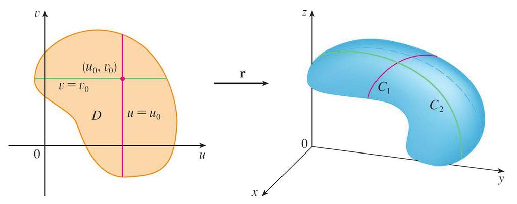circular cylinder with radius 2 whose axis is the y-axis (see Figure 2). = 4 This means that vertical cross-sections parallel to the xz-plane (that is, with y constant) are all circles with radius 2.