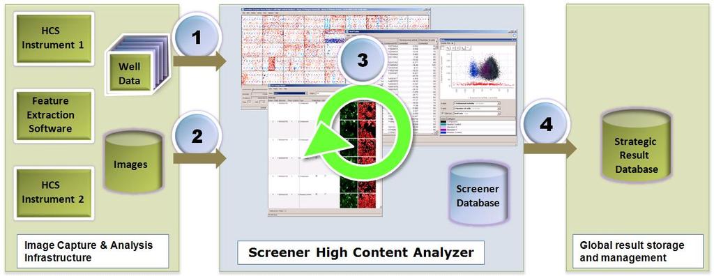 Figure 1: Screener High Content Analyzer embedded in a typical HCS environment. It imports well data plate-by-plate (1) either from local files or from a central server resource (e.g. a shared file system or a data base, e.