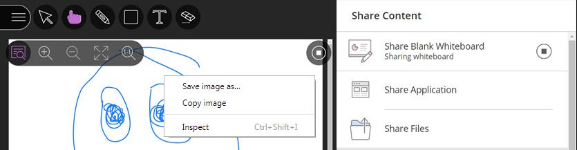 Note: Once sharing begins, users can use the Show/Hide View Controls toggle to display resizing tools.