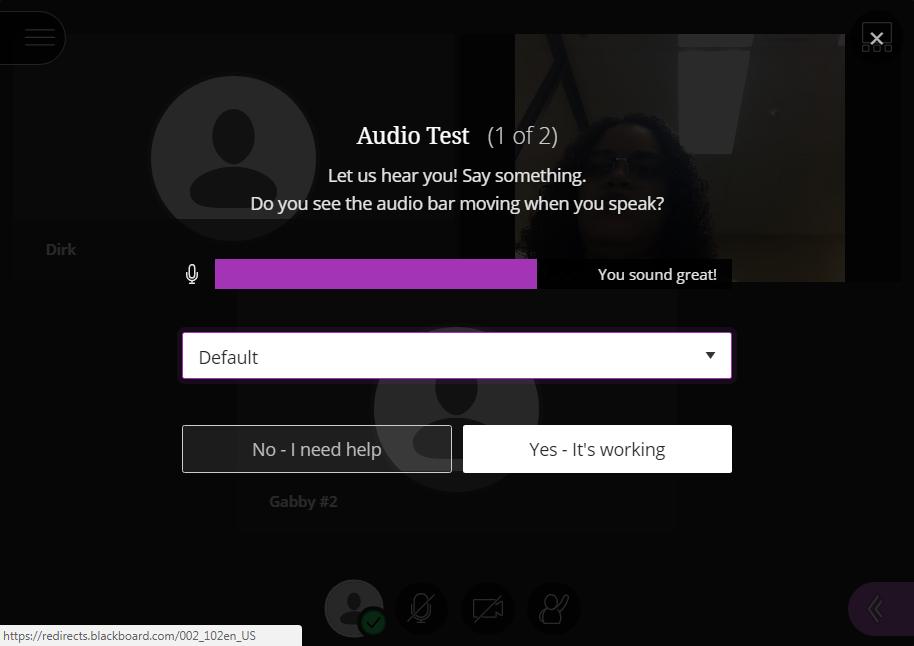 2 Step 3: When the Audio Test appears, Blackboard Collaborate