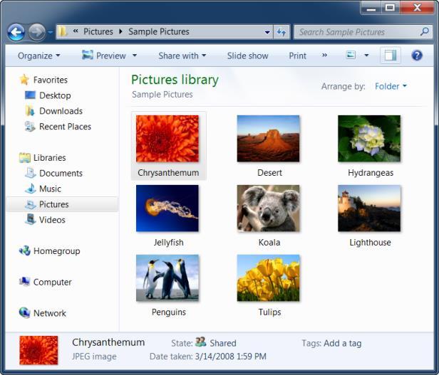 Microsoft Windows 7 Quick Reference Card Windows Explorer Toolbar Displays buttons and menus for common commands. Navigation Pane Provides quick navigation to folders and files.