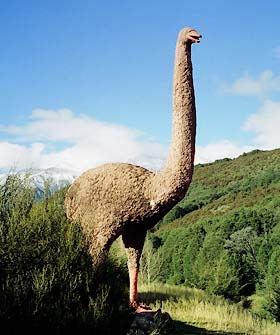 MOA: the bird The Moa (another native NZ bird) is not