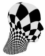 3-(d) and (h) show the models wth a checkerboard texture map usng dscrete authalc mappng