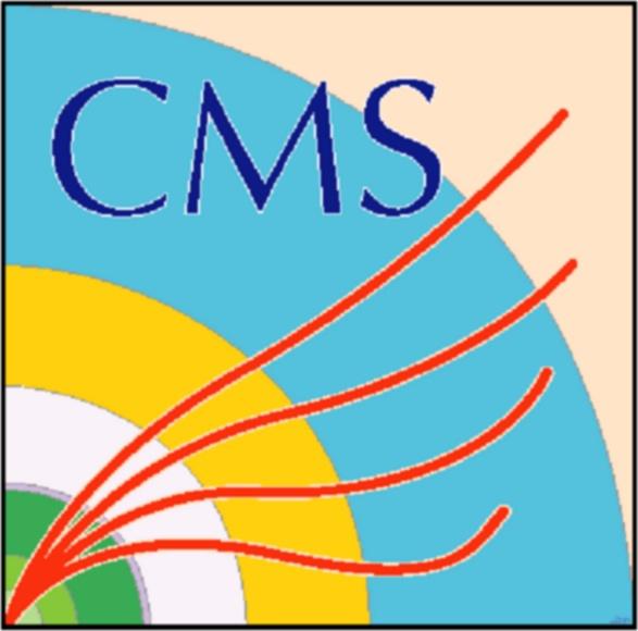 handling of LHE files in the CMS