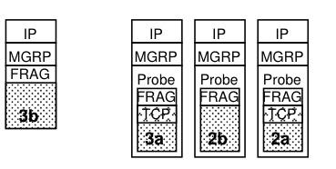 MGRP Payload API transport protocols treat MGRP like the IP layer: stick packets in and expect to pop at remote end.