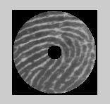 of interest from the fingerprint image. We produced 121x121x2 matrix(region of interest + sectors).