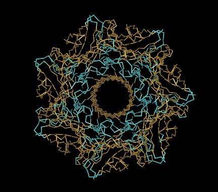Viewing Molecular Structures Proteins fulfill a wide range of biological functions which depend upon their three dimensional structures.