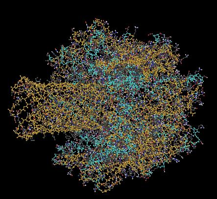 The Methods The 3D structures of proteins can be experimentally determined at the atomic level by two different methods. a) X-Ray: Provides the highest resolution.