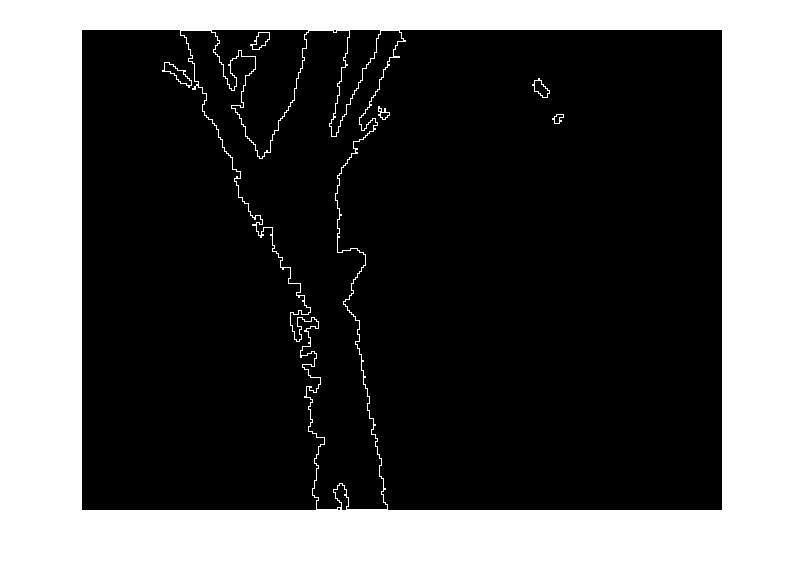 Figure 13: Perimeter region of a Tree Object Figure 13 shows the region of a detected Tree object for computing perimeter feature. 6.2.3 Elongation Elongation is defined as (Area/ (T hickness) 2 ).