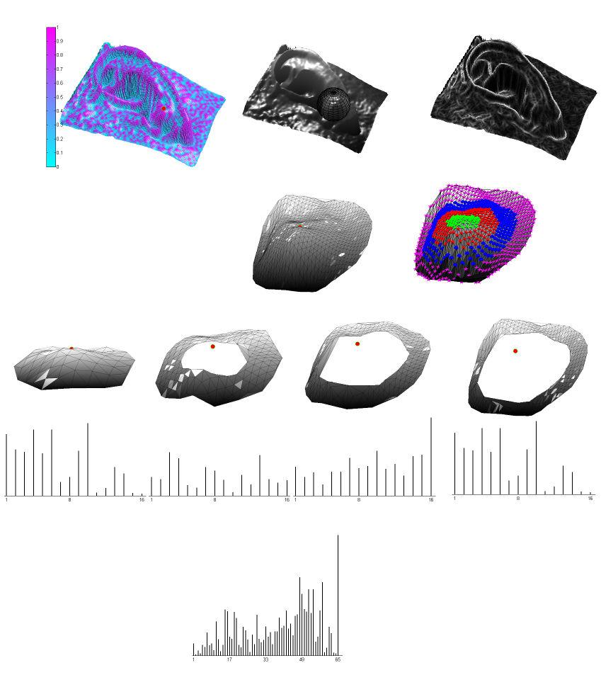 our 3D ear recognition implementation, the radius is set to r = 14mm, which is empirically determined based on the size of the human ear. 95 Figure 5.