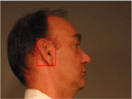 The geometric properties, including the position and dimension, of the remaining candidate ear regions are analyzed to determine the true ear region.