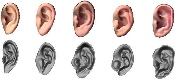 22 Figure 2.3 Figure 2.3 illustrates a set of sample ear images and their corresponding 3D reconstructions using SFS. 2.1.