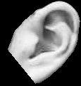 33 Table 2.2 Ear Pose EER 0 3.3% 5 3.3% 10 5.0% 15 6.7% 20 11.6% 25 14.0% There are eight probe video clips that contain occlusions in the ear region.
