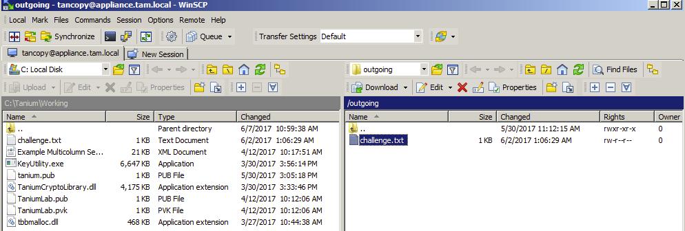 Use SFTP to copy the request file from the /outgoing directory to your local computer. 6.