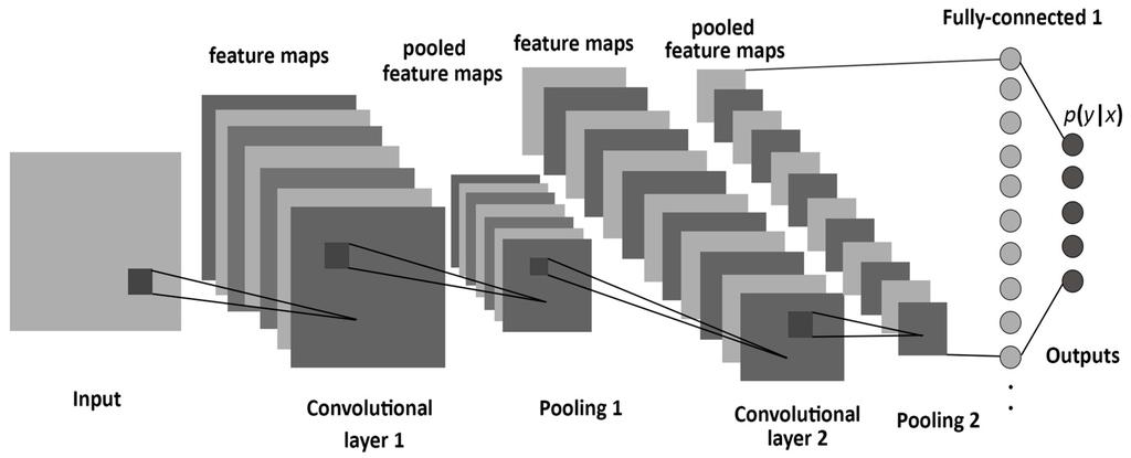 Convolutional neural networks (CNNs) Hidden units organized into feature maps (each using weight sharing to enforce identical receptive fields) Subsequent layer pools across features at similar