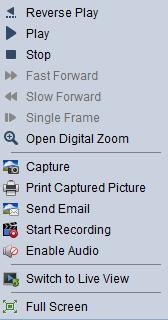 The following buttons are available on the right-click Instant Playback Management Menu: Reverse Playback Play back the video file reversely.