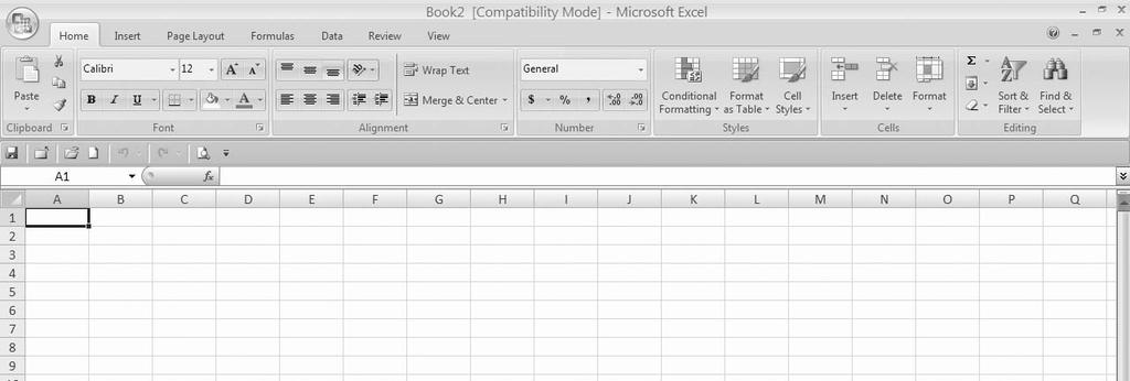 Excel 2007 is a software program that creates a spreadsheet.