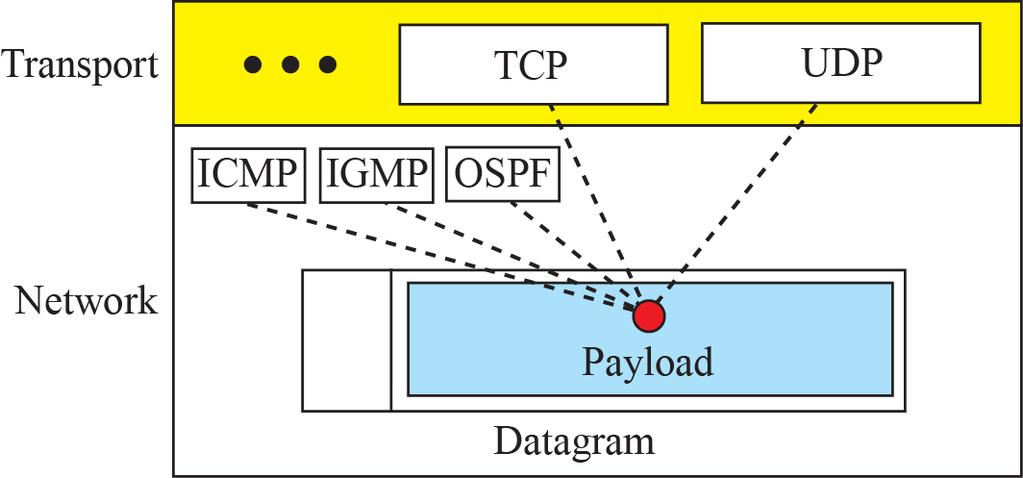 4.2 Network-Layer Protocol IP Datagram Format (5/11) Protocol: 8-bit field
