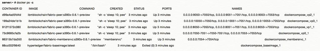4. Connect to the Docker container running Peer vp0. docker exec -it dockercompose_vp0_1 bash 5. Enroll user test_user0. peer network login test_user0 -p MS9qrN8hFjlE 6.