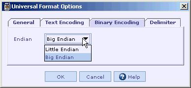 The Text Encoding combo box is used to specify the character encoding to be used while processing text encoded fields in the message.