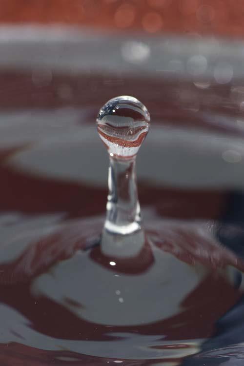 Macro- Water Drop Tripod with remote shutter release ISO200 f/14
