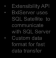 Communication between SQL Server & R runtime.