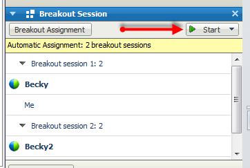 Using Breakout Sessions for Group Work Page 2 Once your session assignments have been