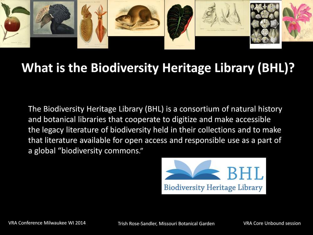 For those of you who may not have heard of the BHL let me give you some background.