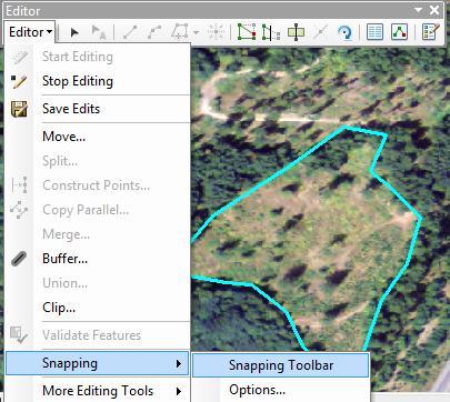On the Editor Toolbar dropdown menu, Select Snapping Toolbar to open the Snapping toolbar. activate Point, and Edge Snapping Start editing by clicking anywhere around the polygon (edge or vertex).