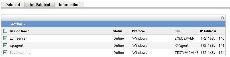 Item Device Name Status Definition The name of the device registered with Novell ZENworks 10 Patch Management to which the patch is to be deployed. The status of the device.