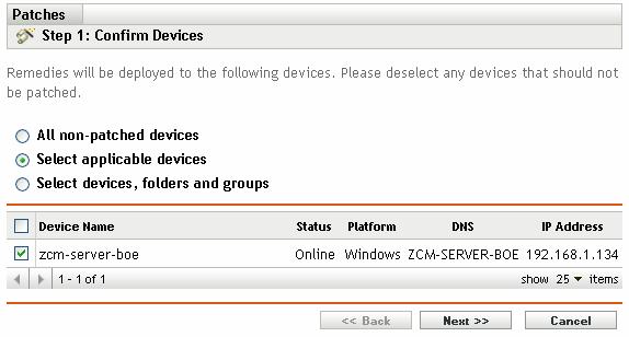 5.2.1 Confirm Devices: All Non-patched Devices Selecting this option deploys the patch to all the devices that are not patched. This option is enabled by default. 5.2.2 Confirm Devices: Select