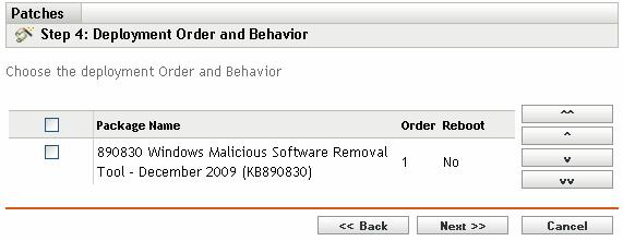 5 Deployment Order and Behavior The Deployment Order and Behavior page of the Deploy Remediation Wizard enables you to set the order and behavior for each deployment schedule.