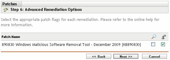 Remediation Option Advanced (individually set all possible deployment options) Functionality Allows the administrator to set the patch deployment flags as desired, using the default QChain and reboot