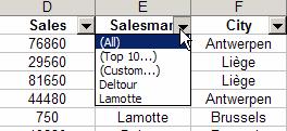 Database AUTOFILTER In order to help you to build the database, Excel can select the basic criteria to track the needed records. You can also define customized criteria.