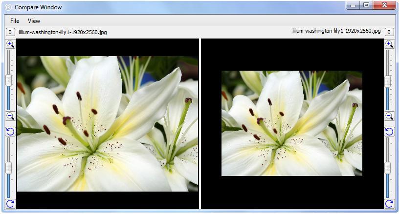 9.3. Tools Compare Images To compare images click on the icon or select View/Compare Images. A new window will appear. Select View and choose between 1, 2 or 4 images.