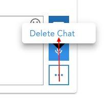 Figure 123: Deleting a chat 5.