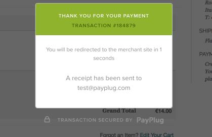 Successful payment in the EMBEDDED payment page 3.
